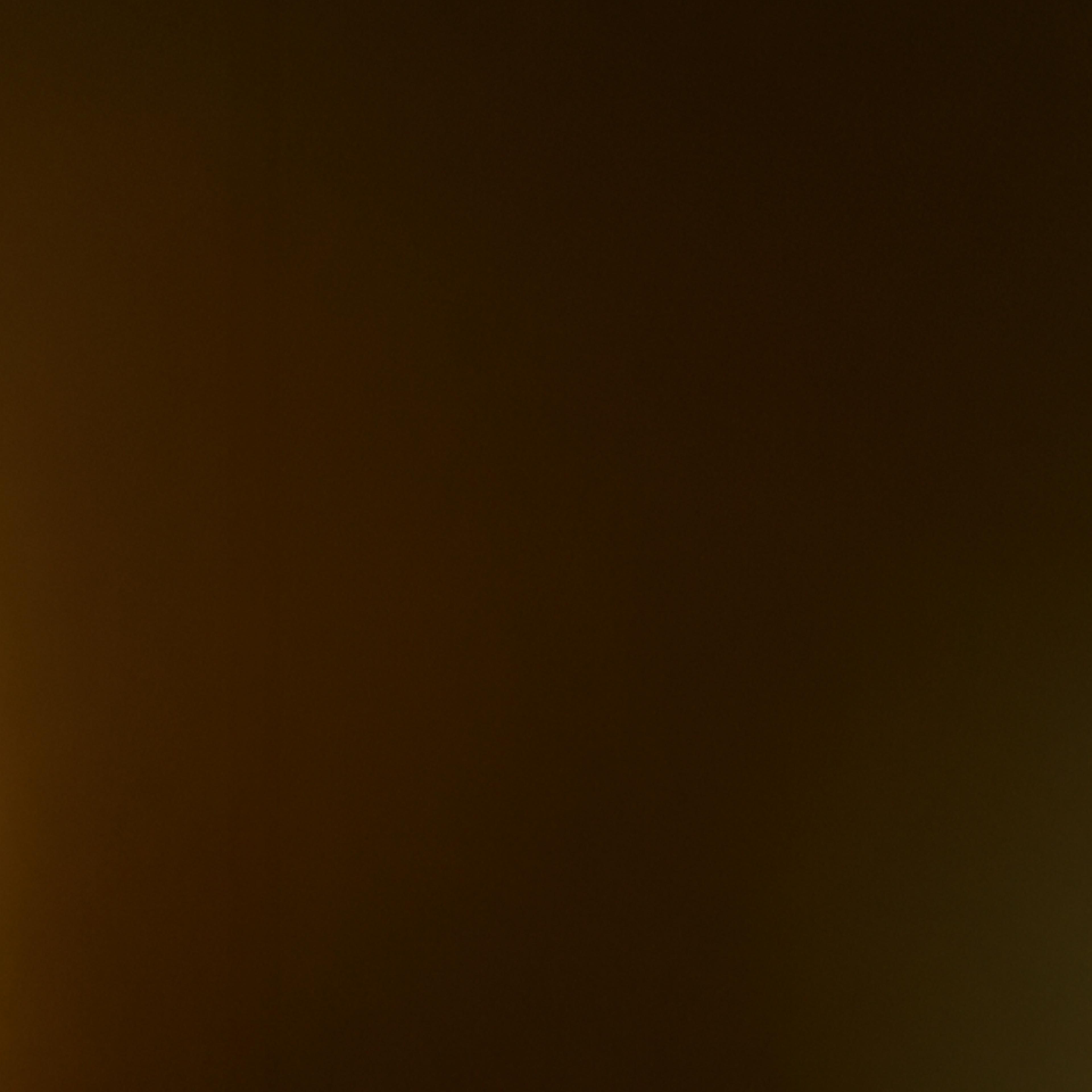 Header Decorative Image